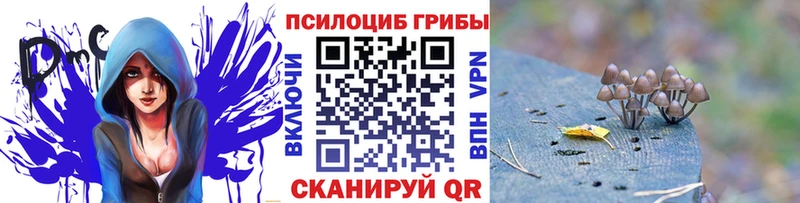 Галлюциногенные грибы Psilocybine cubensis  Покачи 